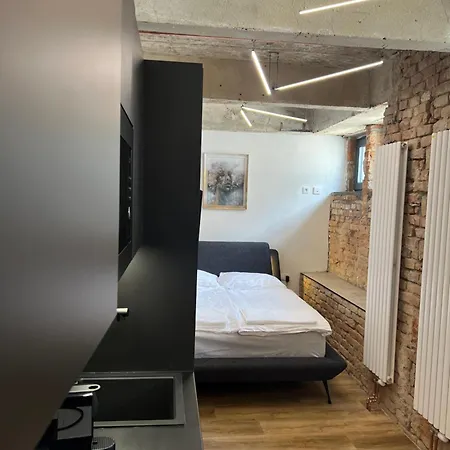 Loft Cejl 7 Industrial *