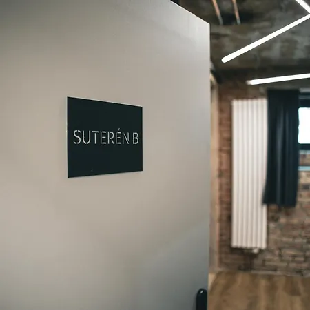 公寓 Loft Cejl 7 Industrial 布尔诺