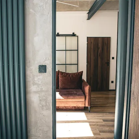 公寓 Loft Cejl 7 Industrial 布尔诺