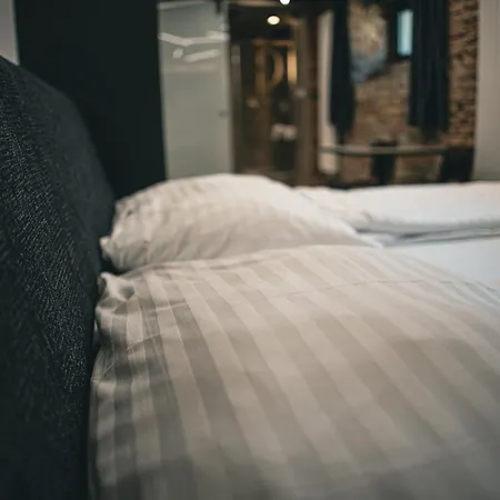 Loft Cejl 7 Industrial 布尔诺