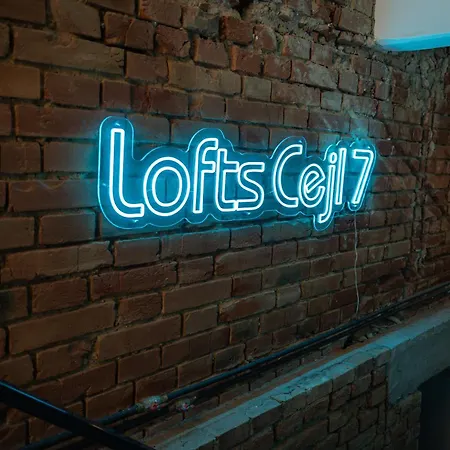 Loft Cejl 7 Industrial דירה