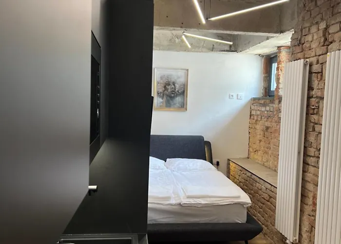 Loft Cejl 7 Industrial *