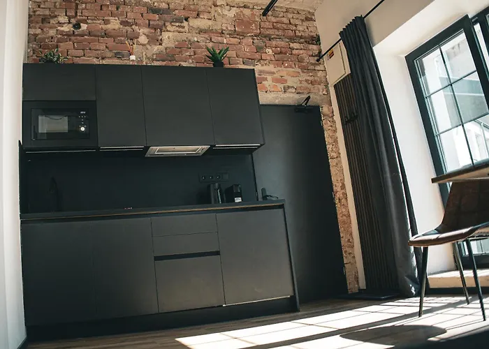 Loft Cejl 7 Industrial Apartman